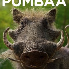 The-Lion-King-Pumbaa-Poster-bbd4db97bbc51a001d59126230a7a50b.jpg