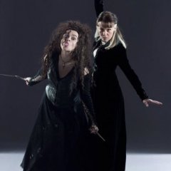 Harry-Potter-and-the-Deathly-Hallows-promotional-picture-bellatrix-lestrange-27985392-500-667-8fa3bea874e903b462cbcb9ba72b5e4e.jpg