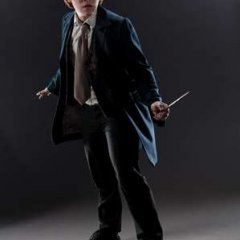 Ron-Weasley-Deathly-Hallows-promotional-image-01--7697a7fc5e467e5c6b6904adbaa5b8fc.jpg