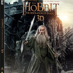 SteelBook-Review-The-Hobbit-The-Desolation-of-Smaug-UK-SteelBook-Pre-order-Art-Front-Cover-and-Spine-07bfe0cc24d603366b5b5fd70755e3fa.jpg