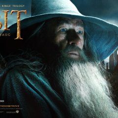 the-hobbit-desolation-of-smaug-banner4-fdc591b9fa4ce033a65384f63d4829db.jpg