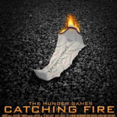 The-Hunger-Games-Catching-Fire-c3597042108e4ef4b26ce2b0ea82c998.jpg