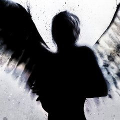 Dark-Angel-silhouette-kopie-909ed5cf6b00c3a73a9d338c0708d87c.jpg