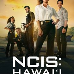 NCIS-Hawaii-poster-5f2fc2d2bdbbe4885fa54ab1e84e0b89.jpg