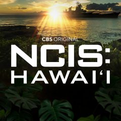 ncis-hawaii-2-7ab0361288e7322d57d9a0c965b1d1a2.jpg