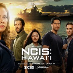 ncis-hawaii-2-baner-long-0f838f8e77c179bb29f8d0295df79656.jpg