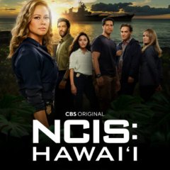 ncis-hawaii-season-2-poster-394x570-09c4291cbc85c8587c831689a5a44ab7.jpeg