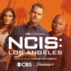 ncis-los-angeles-14-banner-long-a7c437967c219c37037b077dc8f62dd8.jpg