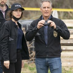 710-ncisnola-photo11-27dbca3e422f5f329bc5db3e18c72616.jpg