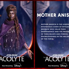 the-acolyte-character-posters-mother-aniseya-0df11456-e71dbd78e91a8e65a7a0b0e79ea07cdd.jpeg