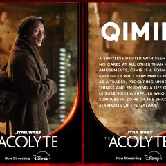 the-acolyte-character-posters-qimir-1a3179e6-5c4076631b0c707eeeee6bff3d459701.jpeg