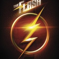 The-Flash-The-CW-poster-season-1-2014-1--01bc95c1bc842f291106cd6f01131c65.jpg