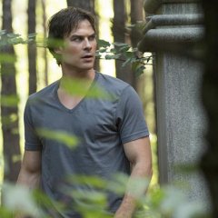 lost-in-the-woods-the-vampire-diaries-s7e2-646885010453c386e023f58eee0d7c18-c8badcadc786be8a03ff3b68a85497b8.jpg