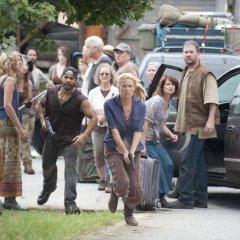 TWD-GP-309-0815-0311-aa3c146a81340b650597385a69e903b6.jpg