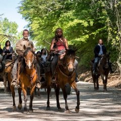 twd-9x01-4-1130004-1bea33e673aeba7526b0182f7206eeca-b5fda6db77f9bded22a03d9ab9f26179-bd745eca778b761ed6b64baa1fca8bf6.jpeg