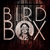 Pořiďte si knižní předlohu filmového hitu Bird Box