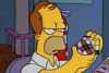 S03E05: Homer Defined