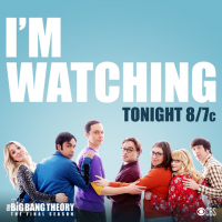 Dnes bylo odvysíláno finále seriálu The Big Bang Theory