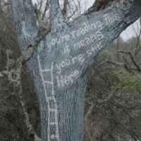 Seriál odhalil, kdo kreslil na stromy, které nalezli naši hrdinové