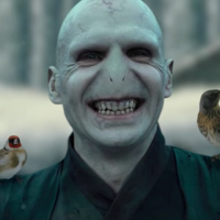 Kdyby byla možnost, Ralph Fiennes by se klidně objevil jako Voldemort ve Fantastických zvířatech