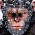 Magazín - Nová Planeta opic zná svou hlavní hvězdu