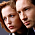 The X-Files - S01E21: Tooms