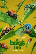 A Real Bug's Life