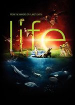 Life (2009)