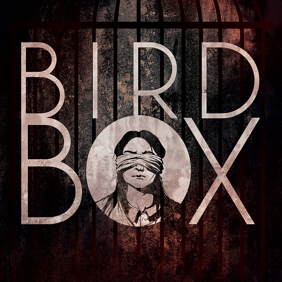 Pořiďte si knižní předlohu filmového hitu Bird Box