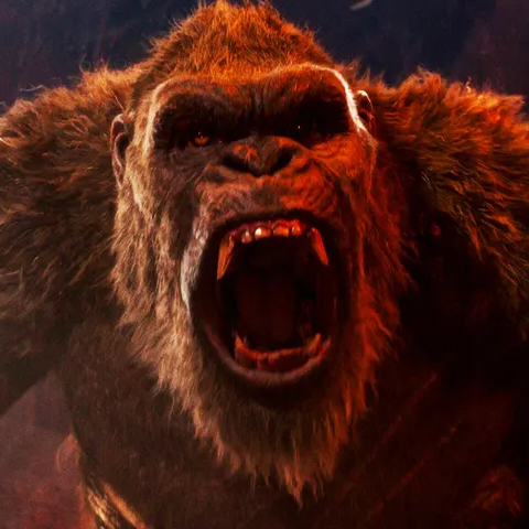 Godzilla a Kong se připravují na epický souboj titánů