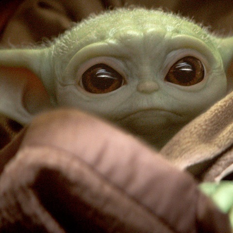 Jméno pro Baby Yodu je již vymyšlené a spousta tvůrců seriálu ho již zná
