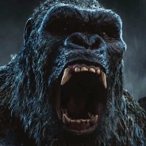 Kong